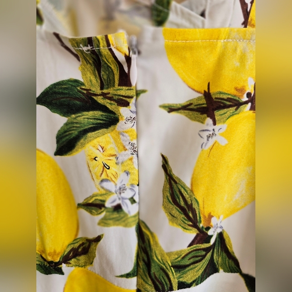 Belle Poque Retro Vintage Fit & Flare Lemon Print Dress Size L - Picture 12 of 12